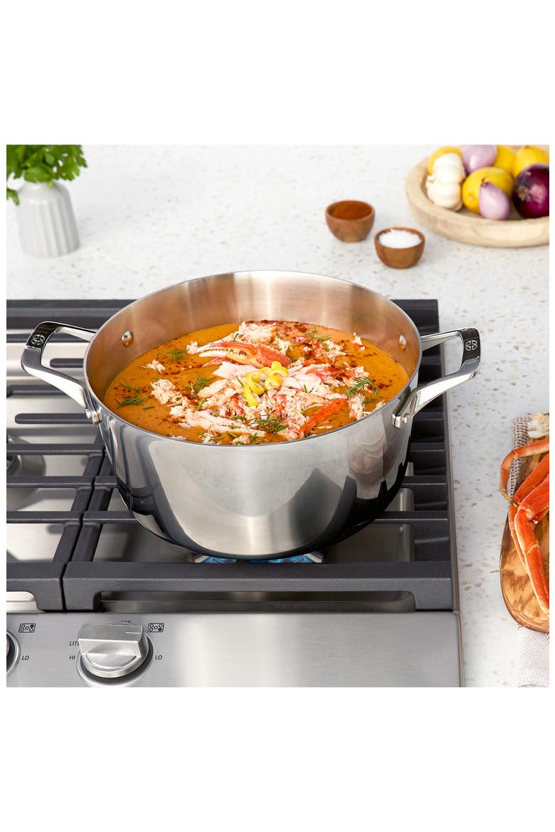 Premier Stainless Steel 6-Qt Stock Pot with Lid, Alternate, color, STAINLESS STEEL