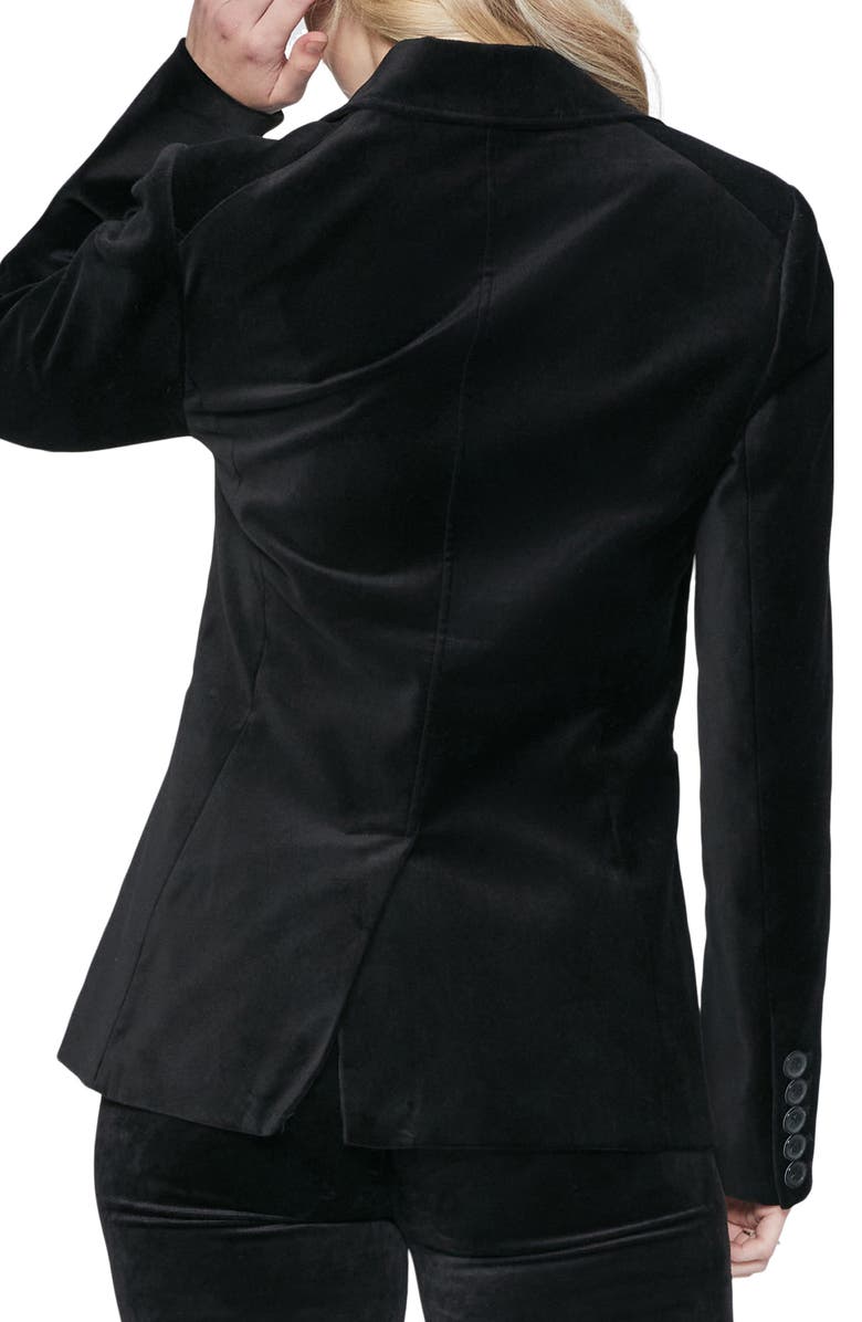 PAIGE Chelsee Velvet Blazer, Alternate, color, 