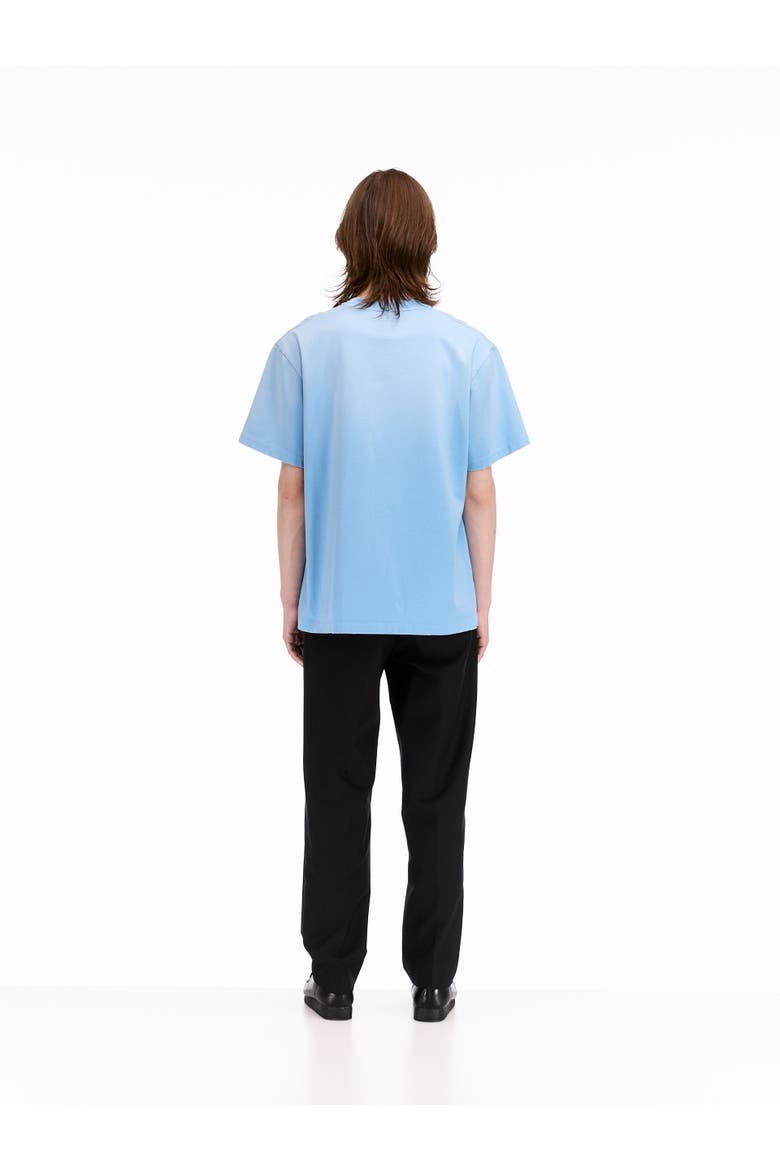 Faded Collegiate Tee, Alternate, color, Sky Blue