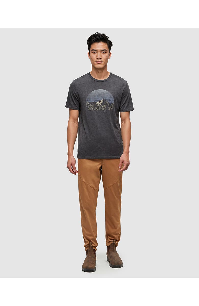 tentree Vintage Sunset T-Shirt, Alternate, color, Meteorite Black Heather