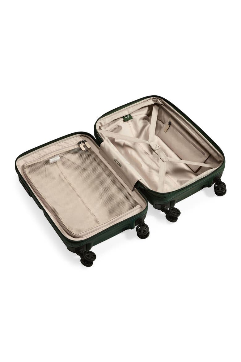 Single Stripe Expandable Carry-On, Alternate, color, Green