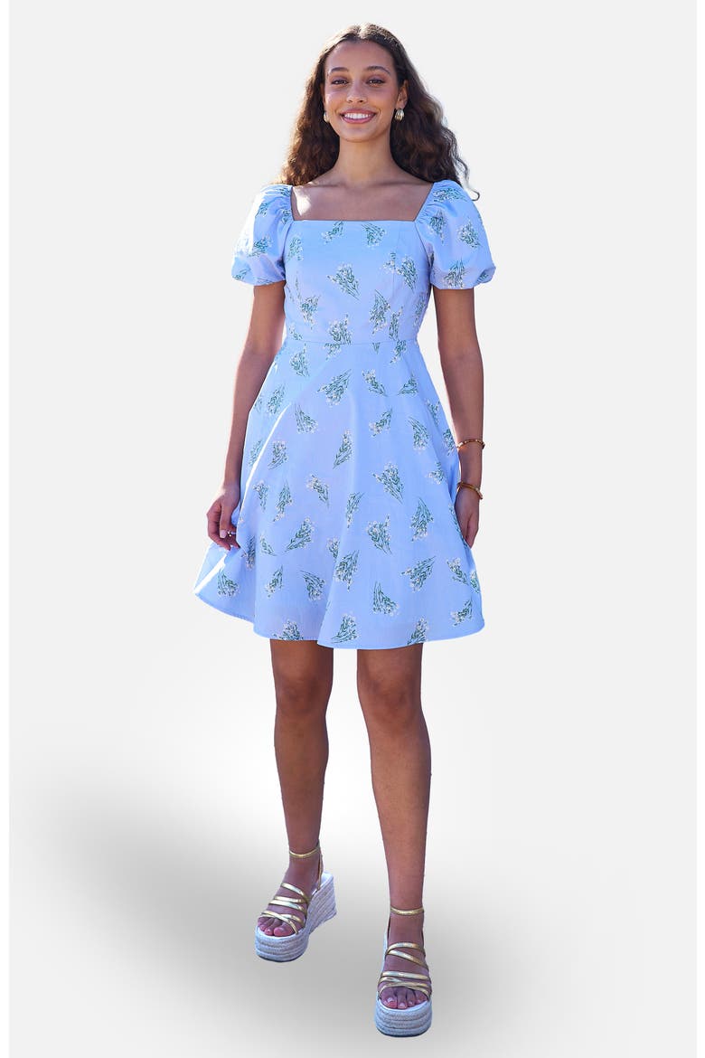 Cotton Floral Puff Sleeve Skater Dress, Main, color, Blue