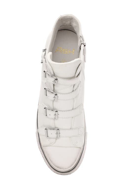 Ash Virgin Leather High Top Platform Sneaker In White