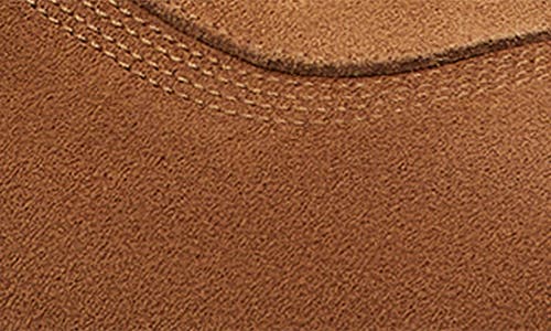 Stuart Weitzman Hamptons Sneaker In Brown