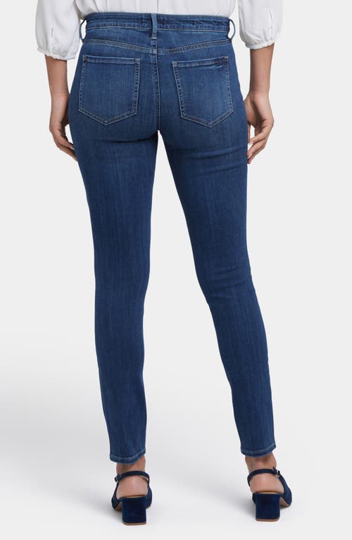 Nydj Ami Stretch Skinny Jeans In Rio Rapids