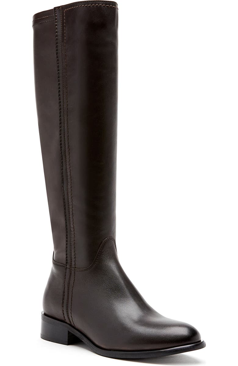 La Canadienne Amir Waterproof Tall Boot, Main, color, Brown