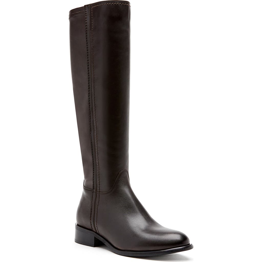La Canadienne Amir Waterproof Tall Boot In Brown