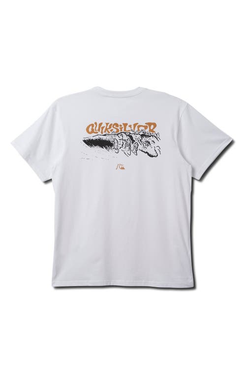 Quiksilver Couple Fun Ones Graphic T-shirt In White