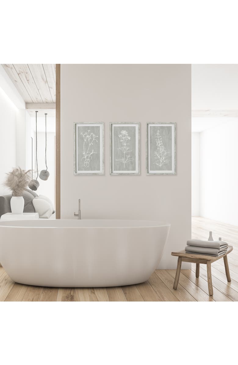 Napa Home & Garden Sketched Botanical Prints Set of 3, Alternate, color, 