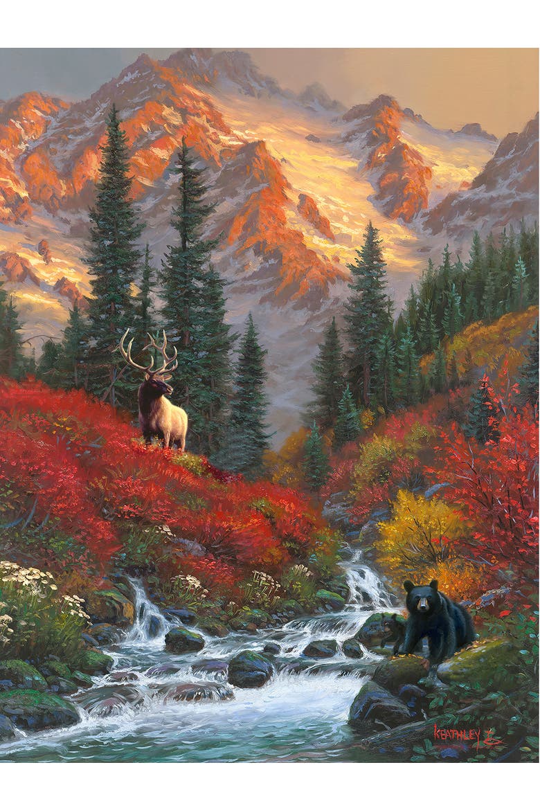 Wild Encounter 500 piece Jigsaw Puzzle for Adults, Alternate, color, Multicolor