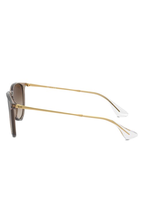 Ray Ban Ray-ban Erika 54mm Gradient Round Sunglasses In Brown