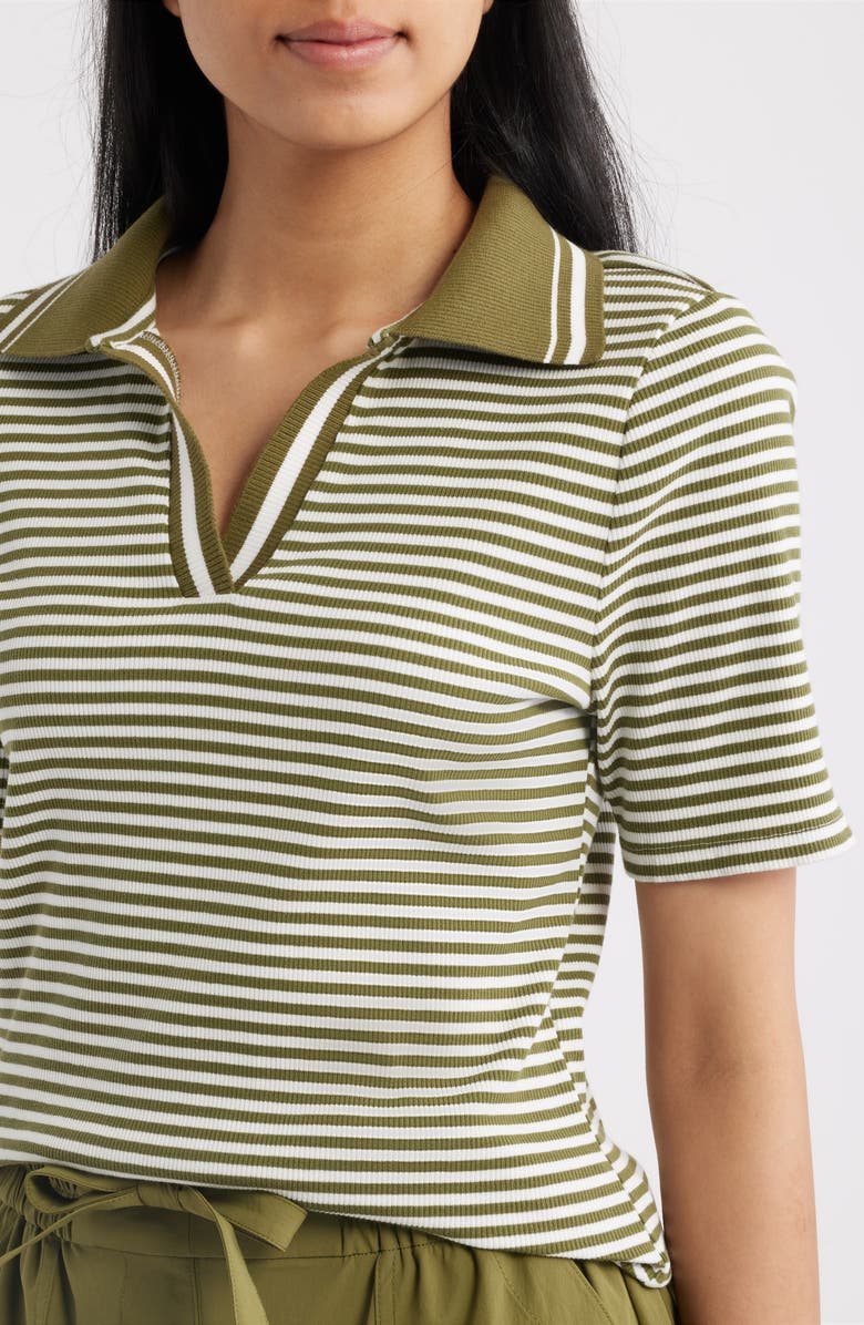 Bernardo Stripe Johnny Collar Polo, Alternate, color, Cream / Fir Green