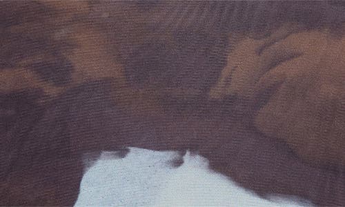 Issey Miyake Homme Plissé Agate Print Sheer Mesh Long Sleeve Shirt In Brown
