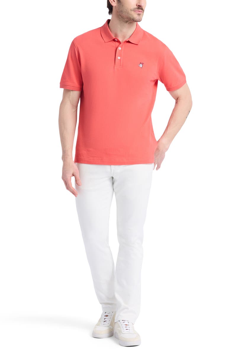 Robert Graham Devil Cotton Polo, Alternate, color, Coral