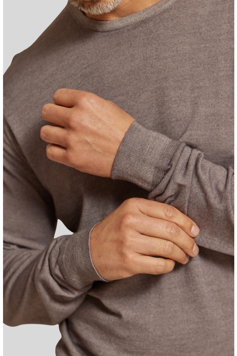 The Banks Long  Sleeve Sweater, Alternate, color, Fawn