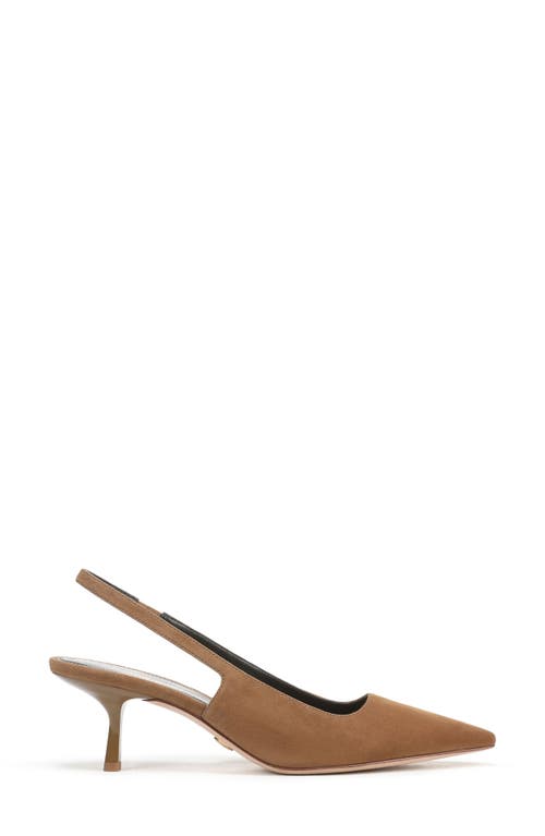 Veronica Beard Cashel Slingback Pointed Toe Pump In Brown