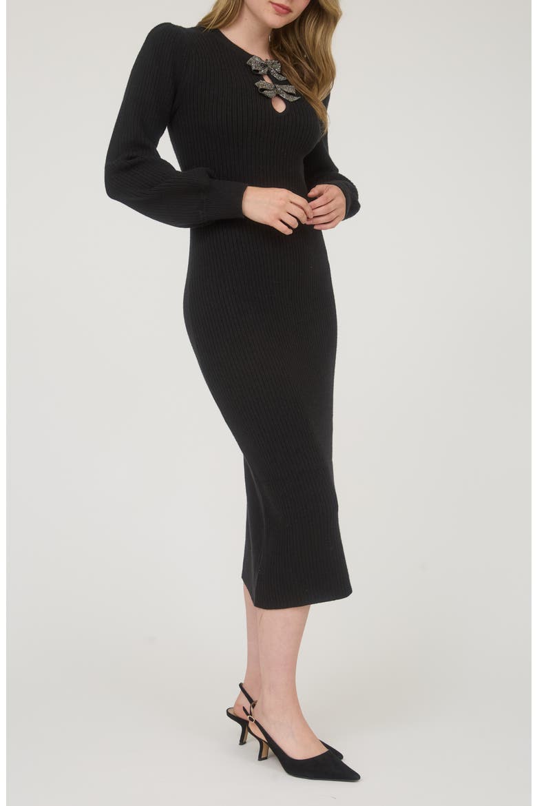 Long Sleeve Sweater Dress, Alternate, color, BLACK