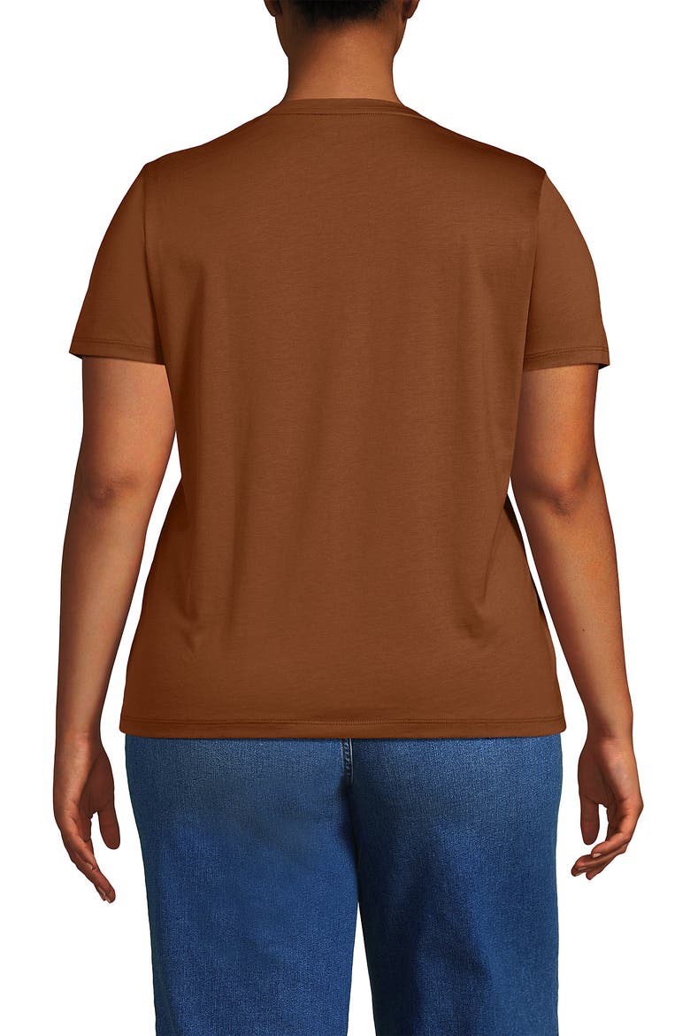 Supima Cotton V-neck T-Shirt, Alternate, color, Rich Ginger Brown