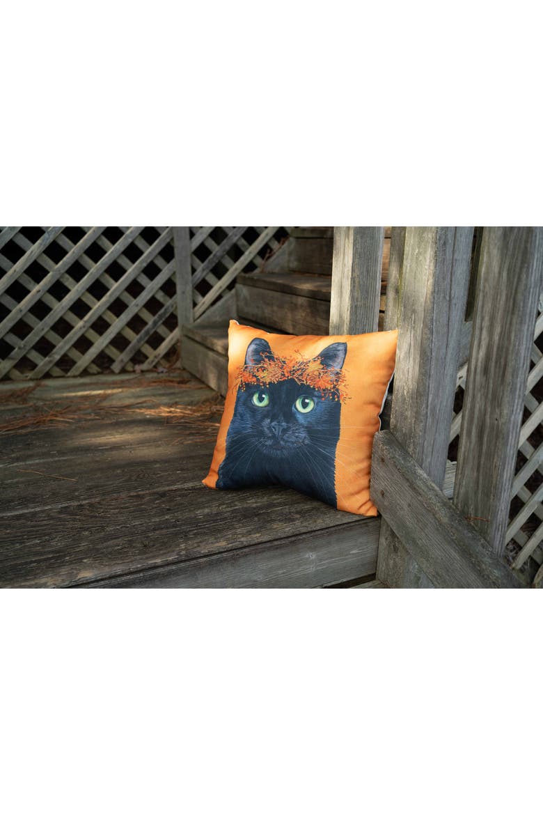 Black Cat Halloween Accent Throw Pillow 18" x 18", Alternate, color, Orange