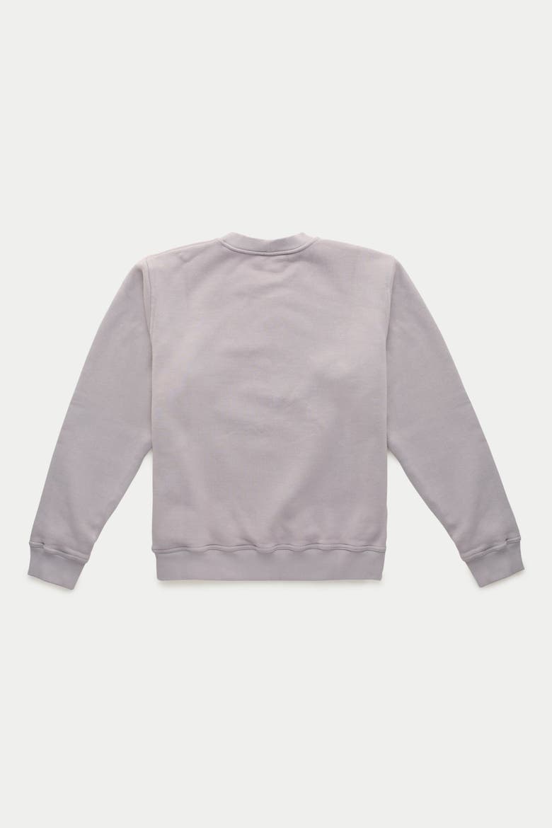 Cotton Fitted Crewneck Sweatshirt, Alternate, color, Gull Grey