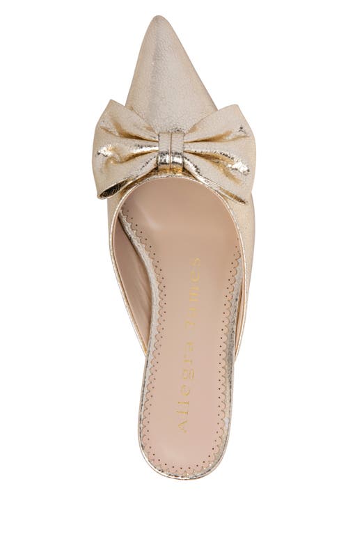 Allegra James Bowie Leather Bow Slide In Gold