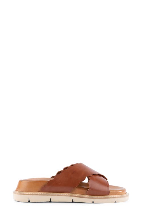 SEYCHELLES SEYCHELLES WOODSTOCK PLATFORM WEDGE SANDAL