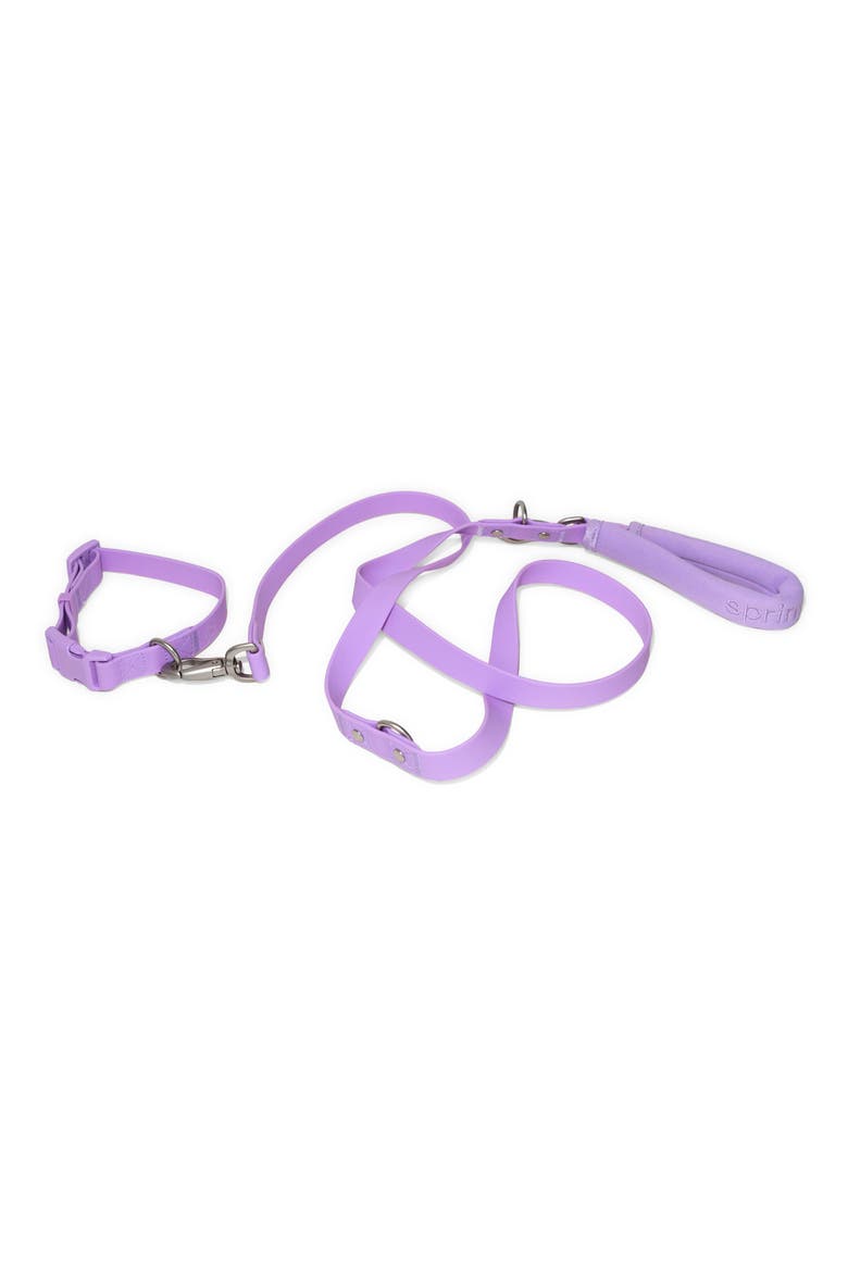 Dog Leash & 22 oz. Water Bottle Set, Alternate, color, LILAC