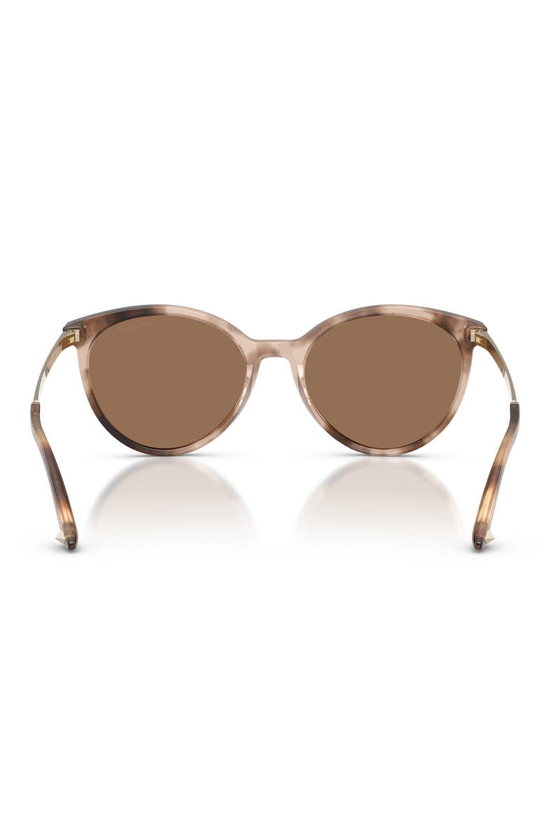 53mm Phantos Sunglasses, Alternate, color, CHAI HAVANA / DARK BROWN