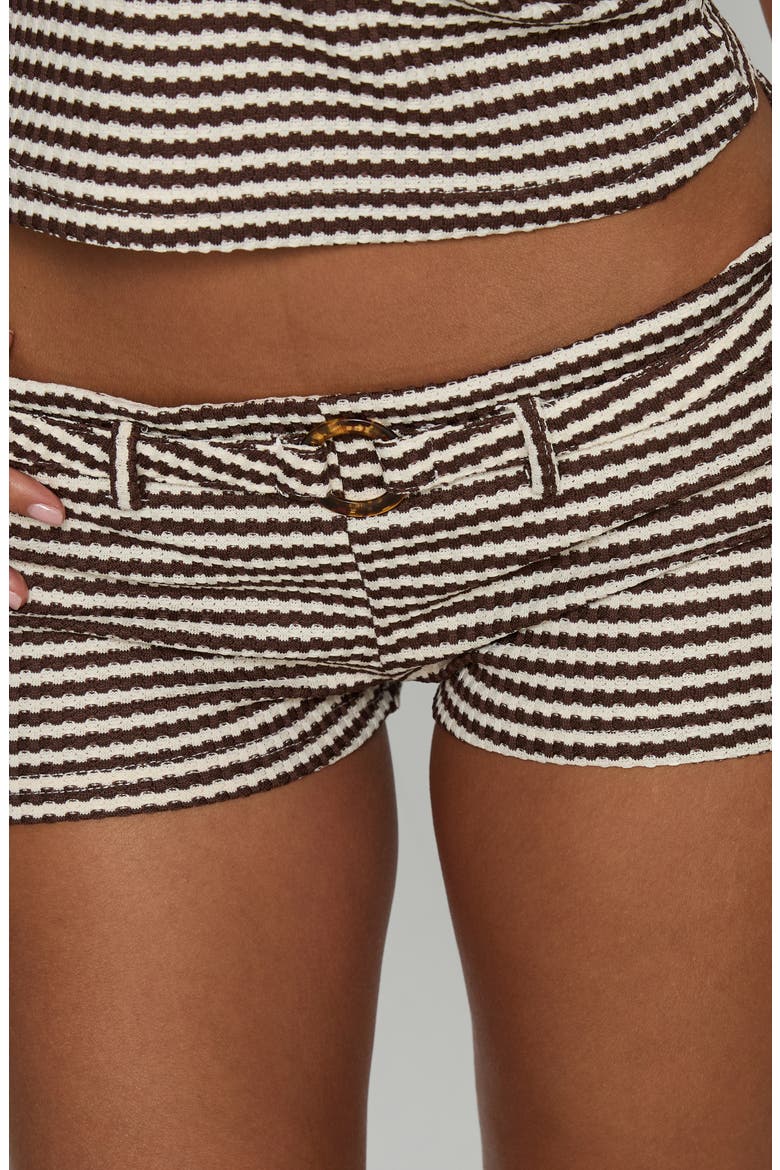 Olimpia Belted Micro Shorts, Alternate, color, BROWN STRIPE