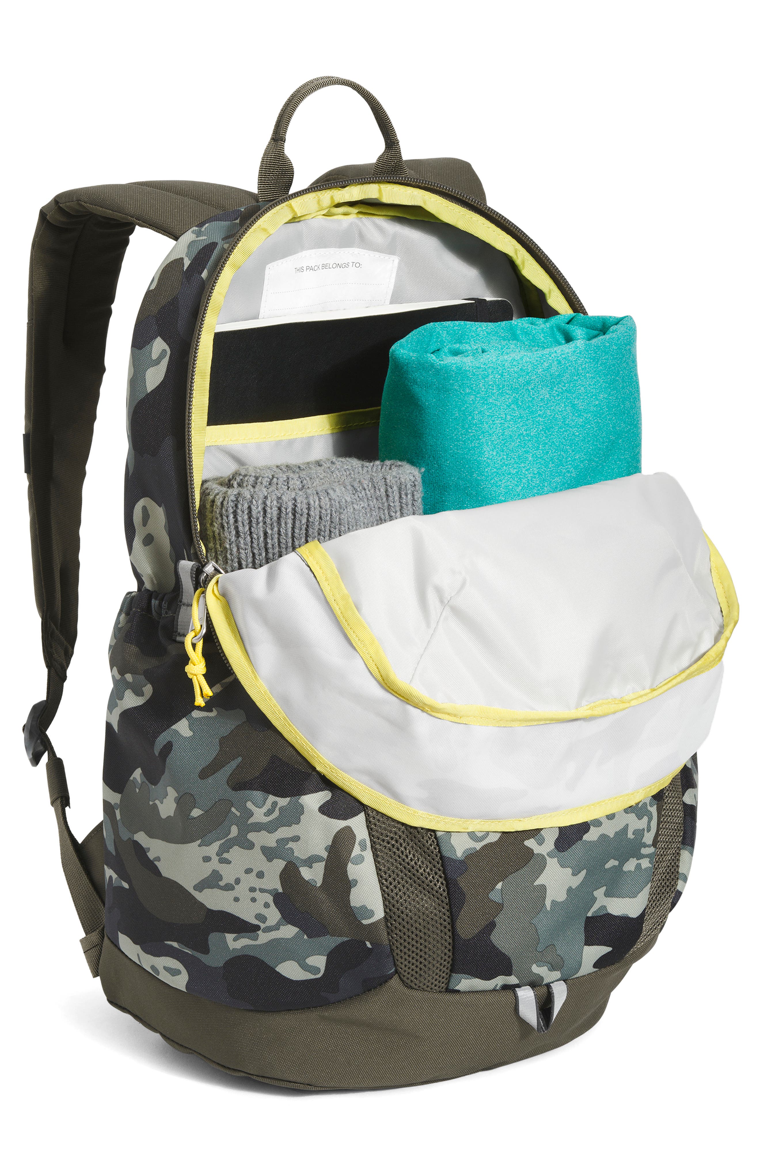 The North Face Kids' Youth Mini Recon Backpack, Alternate, color, 