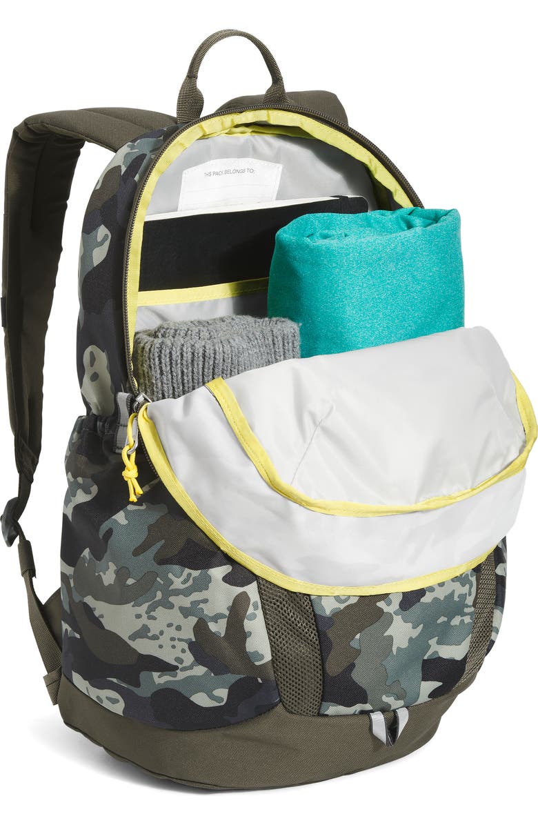 The North Face Kids' Youth Mini Recon Backpack, Alternate, color,