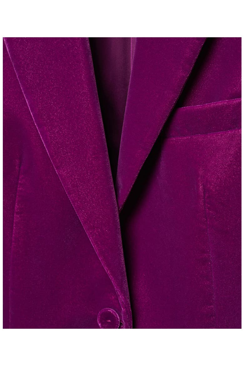 Velvet Blazer, Alternate, color, PURPLE