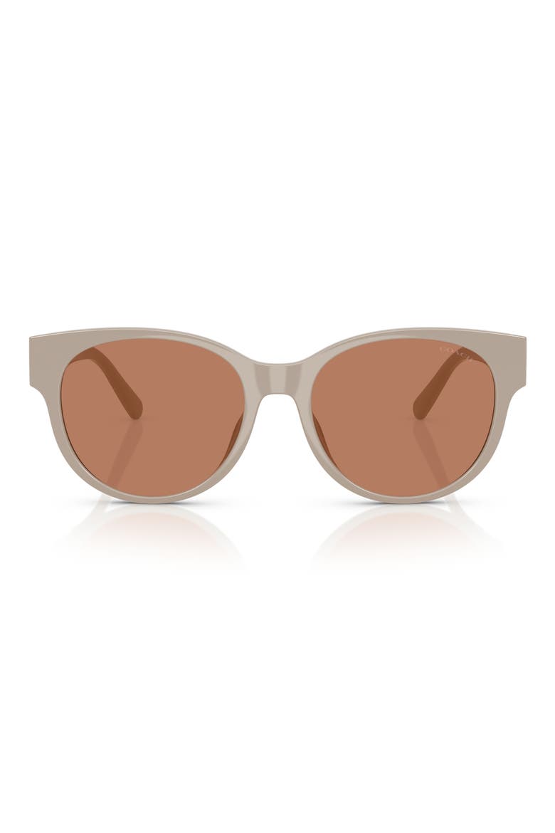 56mm Gradient Round Sunglasses, Main, color, KHAKI SOLID / BROWN SOLID