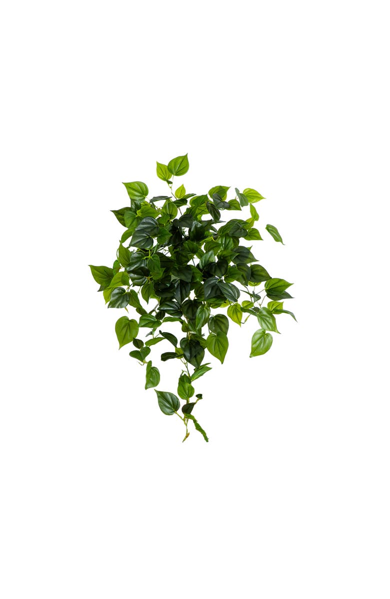 NEARLY NATURAL 32-in UV Resistant Artificial Philo Hanging Plant (Indoor/Outdoor) - Set of 2, Main, color, Green