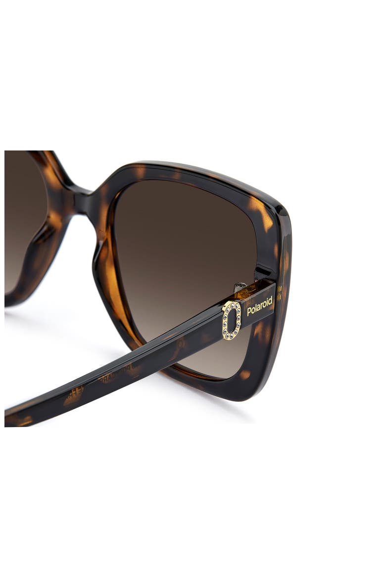 55mm Polarized Rectangular Sunglasses, Alternate, color, HAVANA/ BROWN