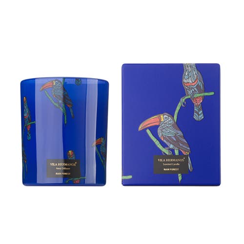 Vila Hermanos Vila Jungletropia Candle In Jar In Blue