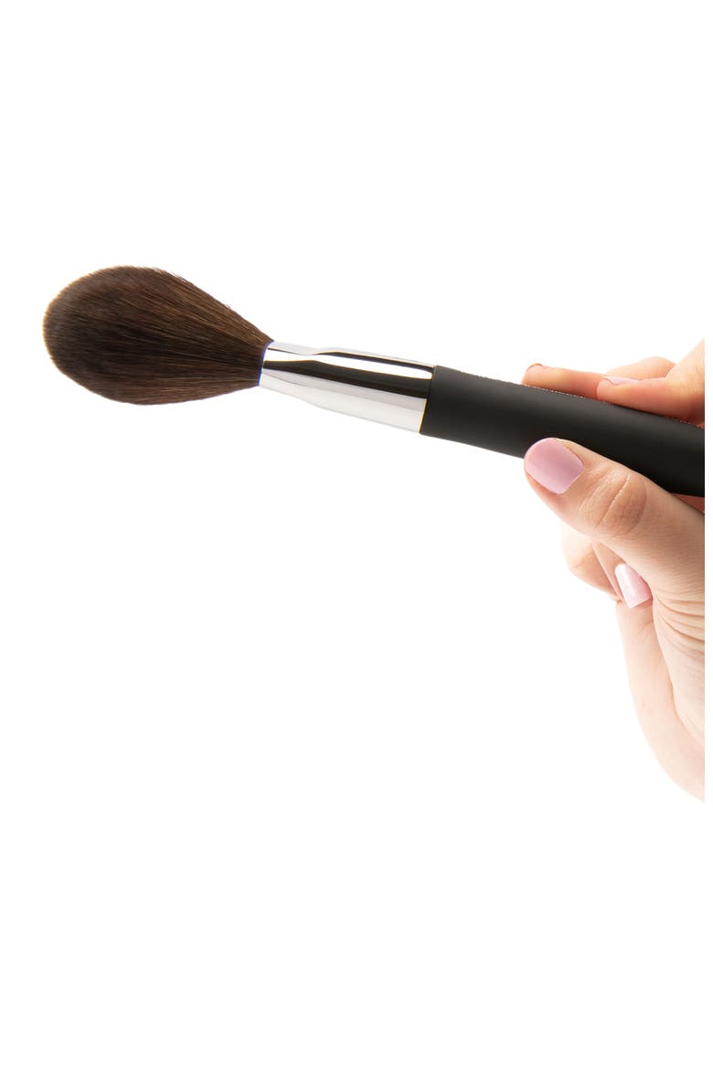 Pro Powder Makeup Brush, Main, color, Black