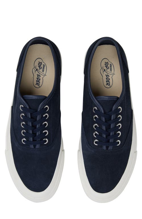 Sperry Top-sider® Cvo Sneaker In Multi