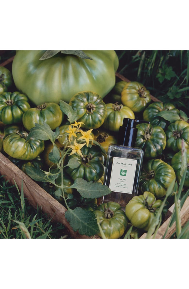 Jo Malone London<sup>™</sup> Tomato Leaf Hand Wash, Alternate, color,