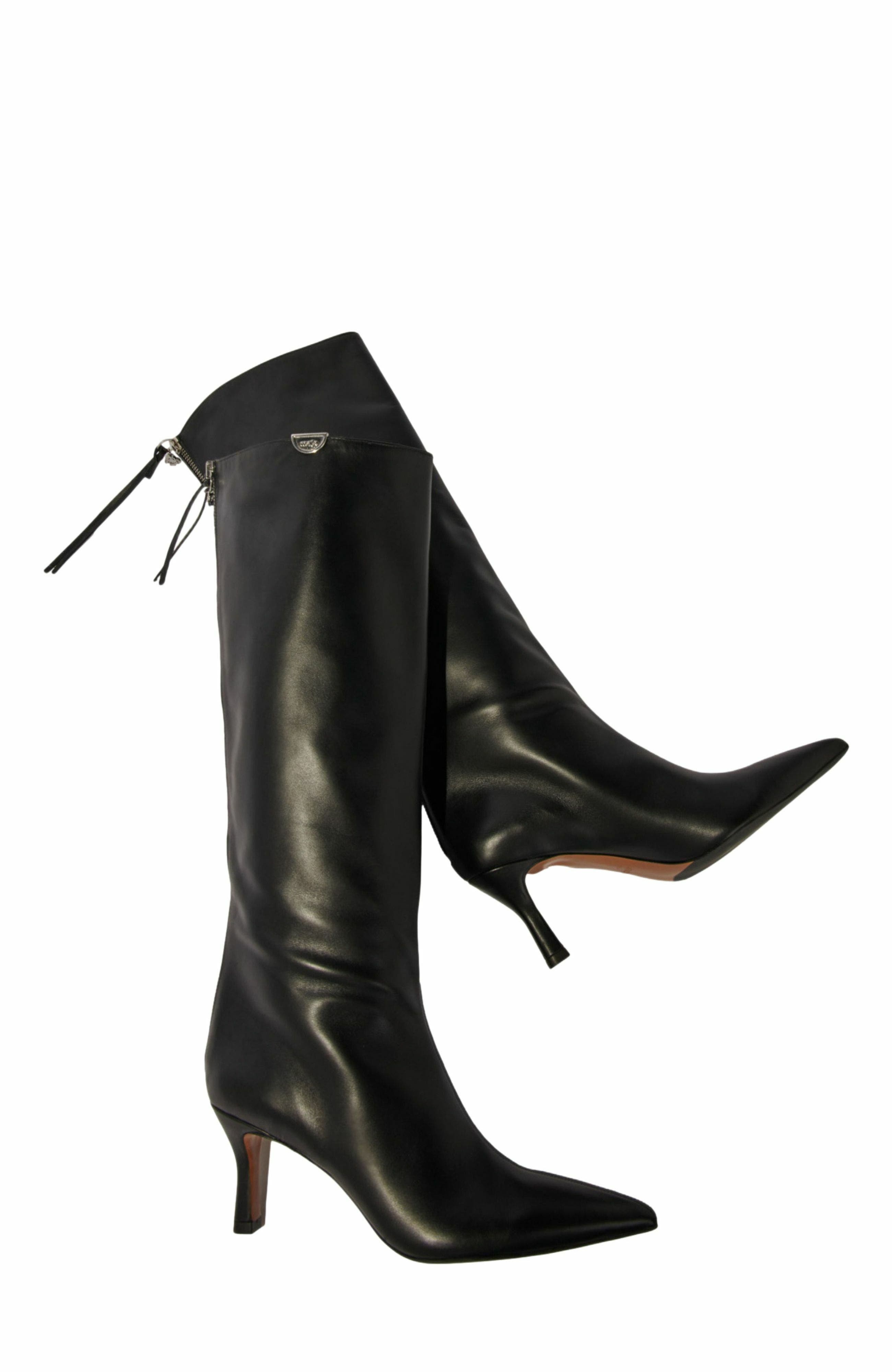 maje Pointed-toe leather boots, Alternate, color, Black