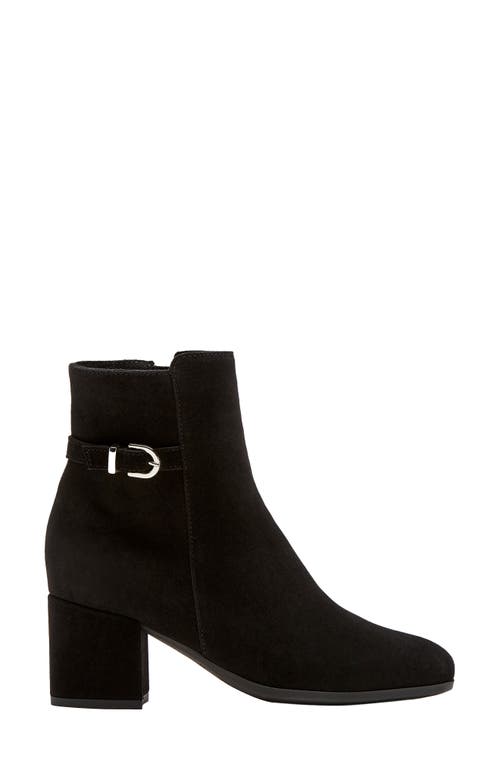 La Canadienne Jordanna Buckle Suede Block-heel Booties In Black Suede