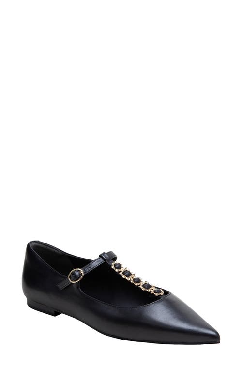Linea Paolo Corinne Pointed Toe T-strap Flat In Black