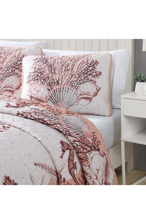 Beatrice Home Fashions Caribbean Joe Comforter & Shams Set