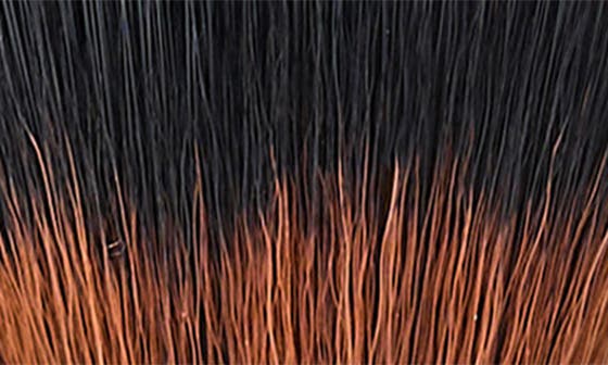 selected BROWN