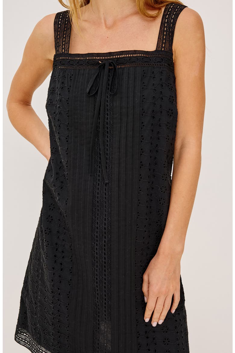Beckton Pintuck Cotton Broderie Anglaise Minidress, Alternate, color, BLACK