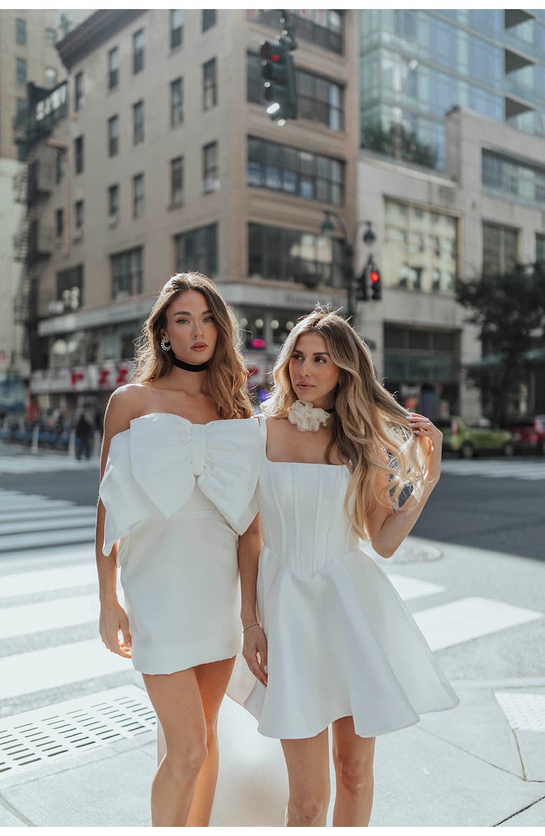 Untamed Petals Chelsea Mini Dress, Alternate, color, Ivory