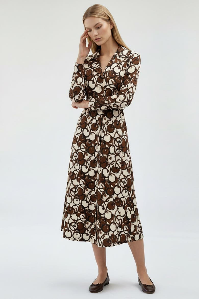 Long Sleeve Fitted Button Front Maxi Dress, Alternate, color, BROWN-BEIGE