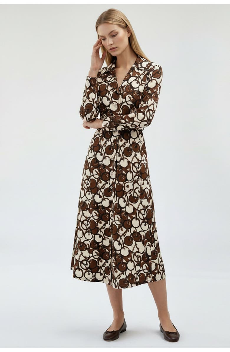 Exquise Long Sleeve Fitted Button-Front Maxi Dress, Alternate, color, Brown-Beige