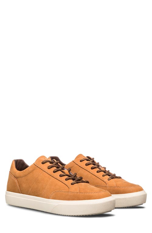 CLAE Monroe Venice Leather Sneaker in Wheat Nubuck 