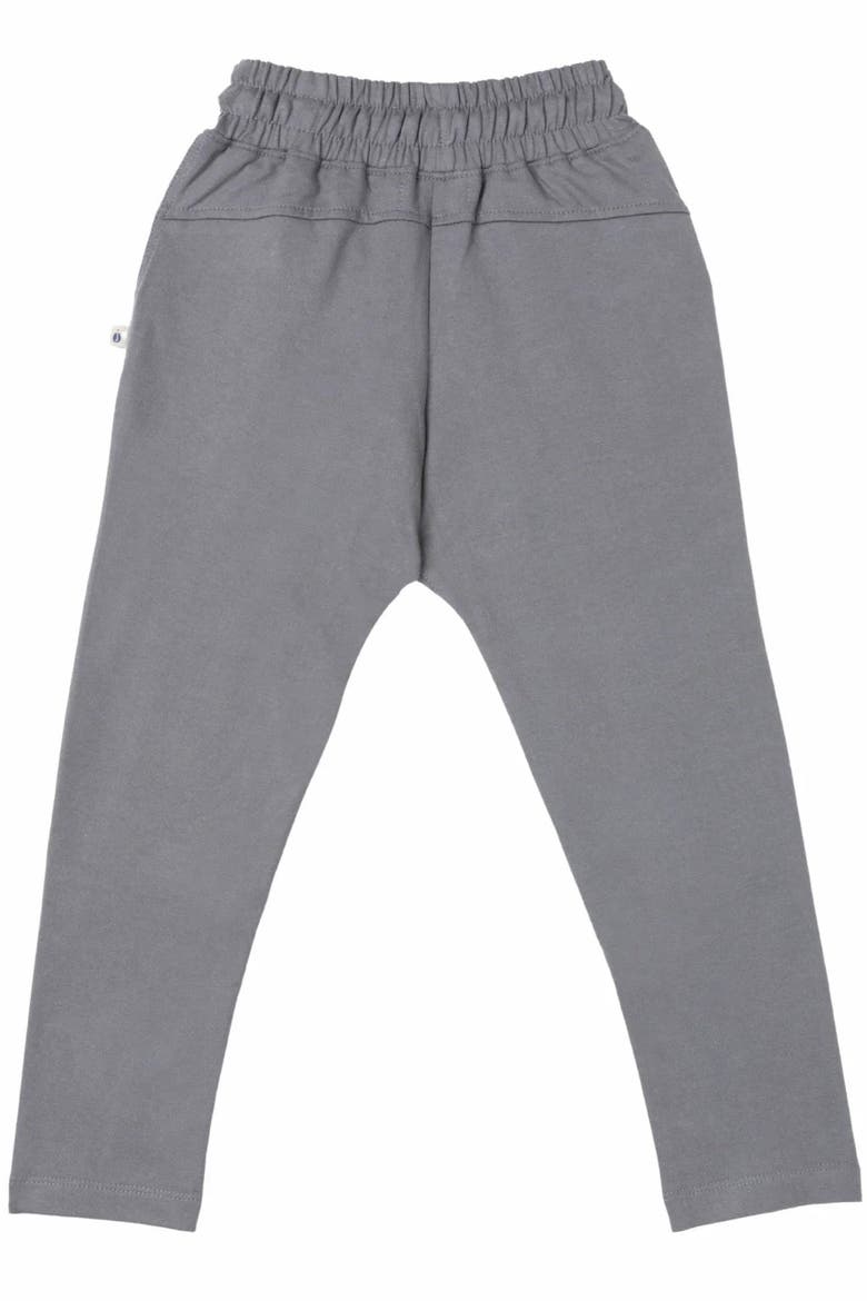 Kids' Organic Cotton Kai Sweatpants, Alternate, color, Gray